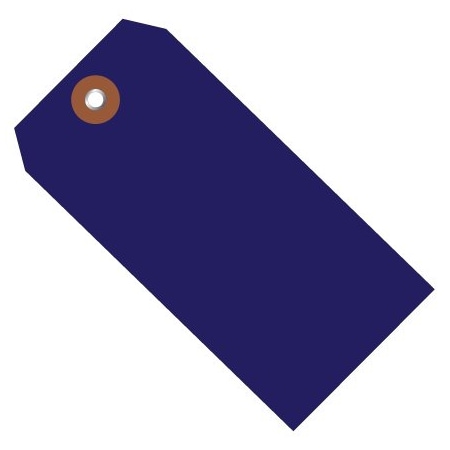 Bsc Preferred 6 1/4 x 3 1/8'' Blue Plastic Shipping Tags, 100PK BUY00026334